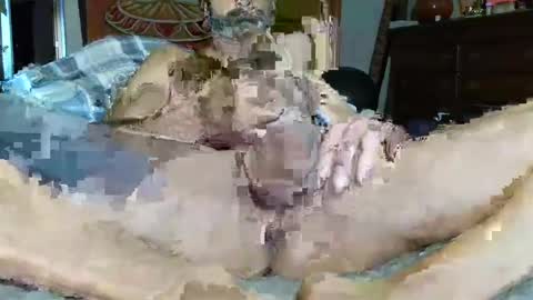 Poindexxxter online show from December 16, 3:00 pm