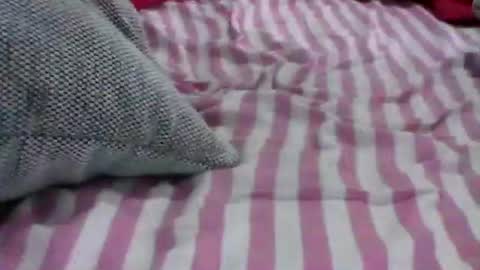 babydollxoxoxo123 online show from April 19, 6:21 pm