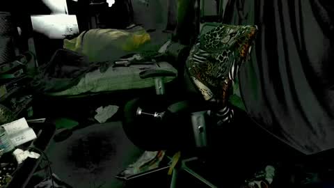 baddaddy215 online show from December 9, 9:28 am