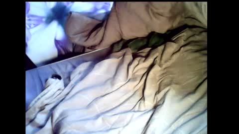 Baghira online show from February 22, 12:15 pm