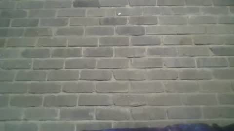 Snapshot of baielekker81578 chatting on January 5, 2:41 pm Chaterlain online show from January 5, 2:41 pm