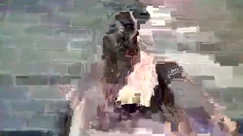 Snapshot of baielekker81578 chatting on January 10, 11:54 am Chaterlain online show from January 10, 11:54 am