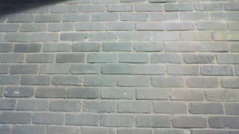 Snapshot of baielekker81578 chatting on July 16, 8:31 am Chaterlain online show from July 16, 8:31 am
