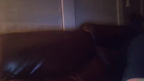 Snapshot of bake66999 chatting on February 5, 6:18 am bake66999 online show from February 5, 6:18 am