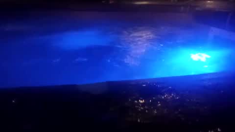 bakerbeachismygig online show from December 9, 4:45 am