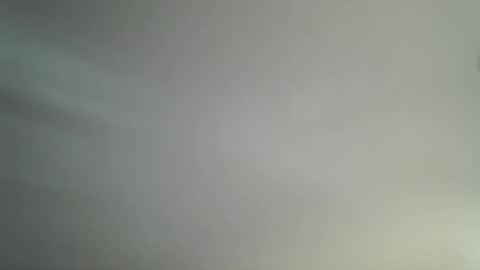 Bambi online show from April 14, 11:16 am