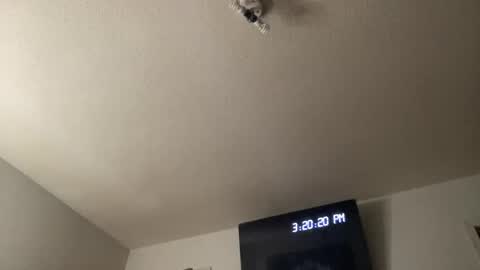 Snapshot of bankofchell chatting on March 25, 7:20 pm Chelly online show from March 25, 7:20 pm