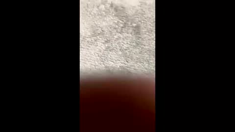 BarbaraDavid online show from March 10, 3:28 pm