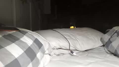 nevametafreaklikemeb4 online show from March 24, 4:28 am