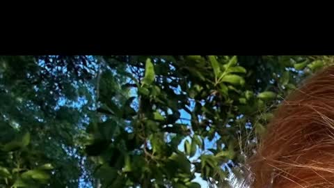 Battyredhair online show from April 6, 6:25 am