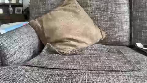 Snapshot of baykiwi54 chatting on February 11, 10:26 pm baykiwi54 online show from February 11, 10:26 pm