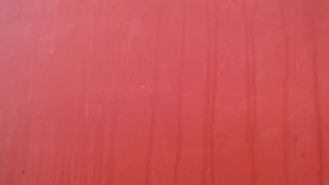 bayonette_black online show from December 17, 7:09 pm