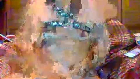 NSAPiigForBreeding online show from April 22, 4:26 am