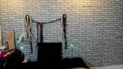 Meduza  online show from November 14, 1:10 pm