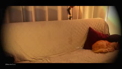 Call me Bells  Next Stream on Wednesday    Feb 26  online show from April 18, 7:58 pm