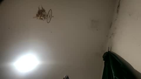 Sara  Juan online show from November 27, 2:24 am