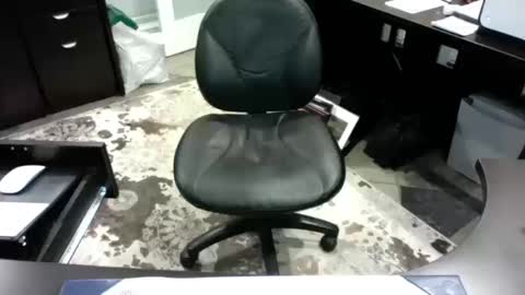 Snapshot of beagle1 chatting on October 14, 12:00 am beagle1 online show from October 14, 12:00 am