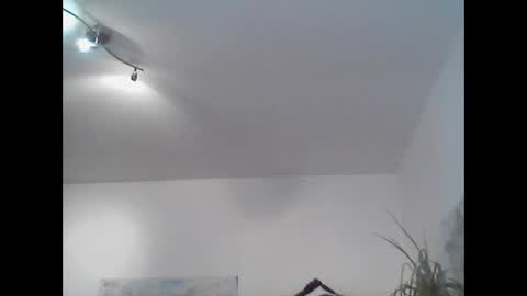 bear14250949 online show from November 2, 11:45 am