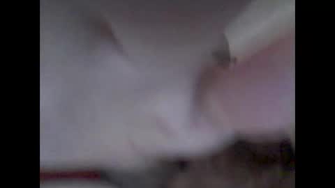 bear14250949 online show from November 14, 10:25 am