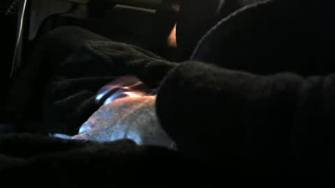 bear4146 online show from December 8, 3:24 pm