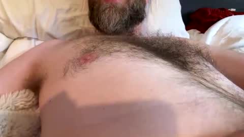 Snapshot of beard_papa chatting on April 20, 11:28 pm beard_papa online show from April 20, 11:28 pm