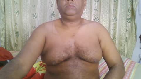 Grizzly   online show from January 1, 2:31 pm