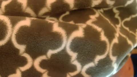 bearplay1111 online show from February 27, 10:59 am