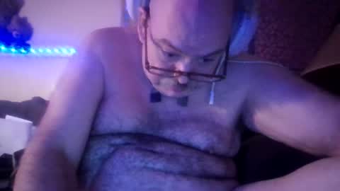 Pig Bear online show from July 22, 9:45 am
