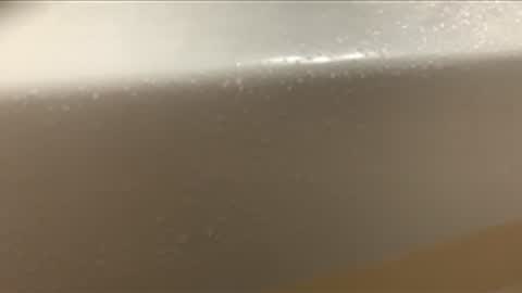 love2seeudear online show from December 5, 8:45 am