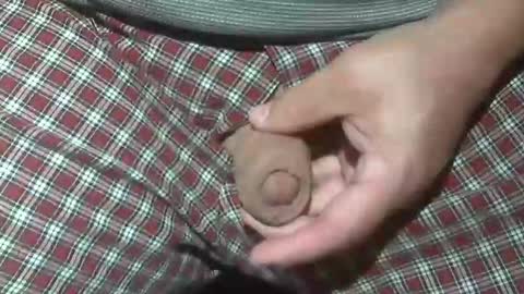  Reservoir Dogs online show from October 20, 2:12 am