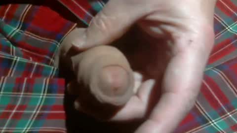  Reservoir Dogs online show from March 2, 4:36 am