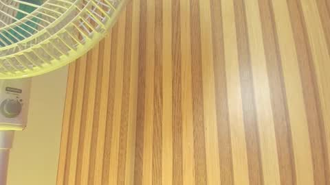 Melanie  online show from February 13, 10:33 am