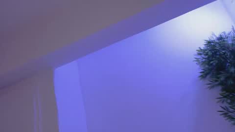 Bella online show from February 19, 8:49 pm