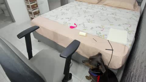 Bella  Angelycal online show from February 20, 10:26 pm