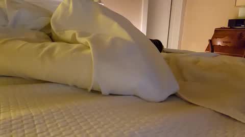 Snapshot of bentpilot chatting on December 20, 11:50 am bentpilot online show from December 20, 11:50 am