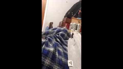 bertpace9296 online show from May 23, 3:34 am
