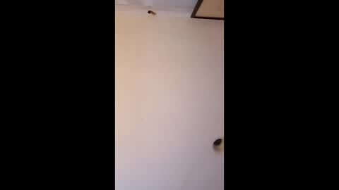 bgiamba21 online show from April 4, 6:33 am