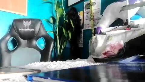 bheb_ji online show from February 15, 6:10 am