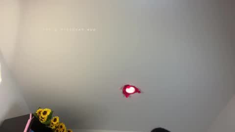 Bianca Mirage online show from April 7, 12:49 pm