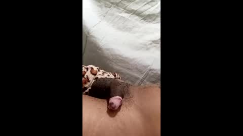 biel369737 online show from March 2, 4:36 am