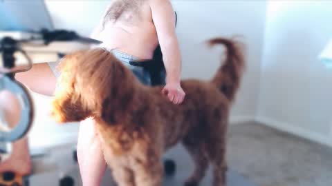 Alcide Herveaux online show from February 25, 5:00 pm