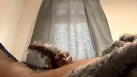 BigBlackCock online show from December 24, 2:01 pm