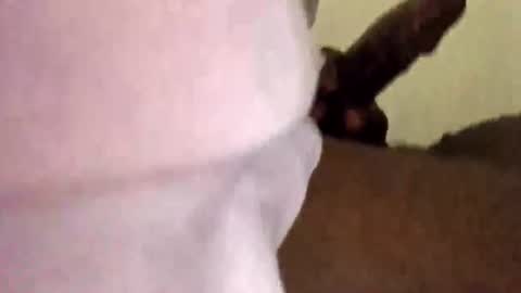 BigBlackCock online show from August 1, 1:54 pm