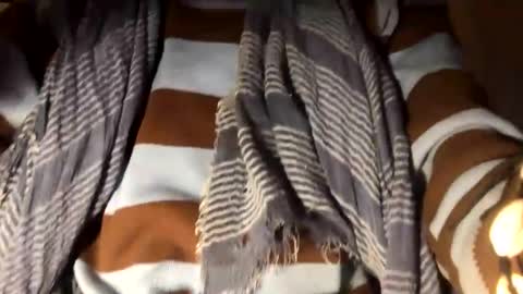 bigboadick online show from October 12, 11:59 pm