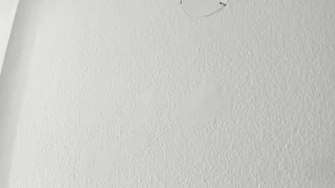   online show from March 18, 9:56 am