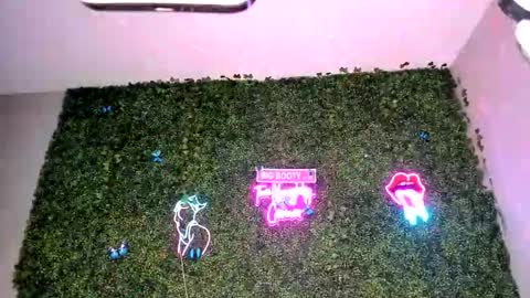 bigbuttsarena online show from April 22, 6:27 am