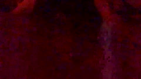 Hunny online show from February 7, 3:10 am