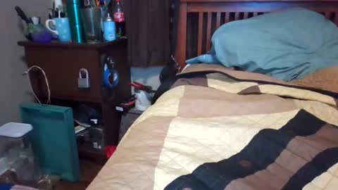 Snapshot of bigdaddy199030 chatting on February 13, 2:34 am BigDaddy199030 online show from February 13, 2:34 am