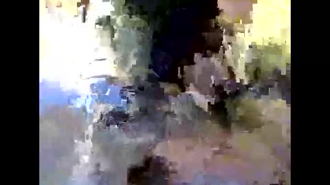 Snapshot of bigdaddydongarlets391292 chatting on October 24, 9:17 am bigdaddydongarlets391292 online show from October 24, 9:17 am