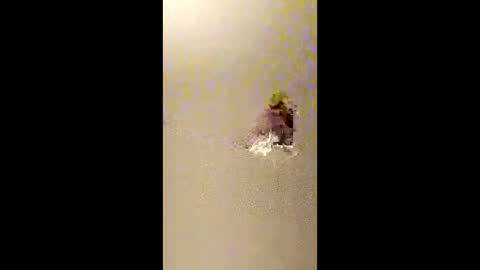 bigdaddydongarlets391292 online show from February 13, 10:44 am